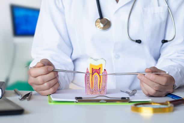 Best Emergency Dental Services for Seniors in South River, NJ